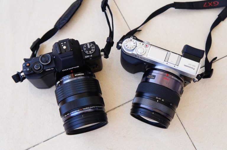tips memilih kamera digital, Dslr atau mirrorless