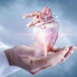 Pentingnya dan Cara Menjaga Kesehatan Jantung