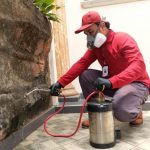jasa anti rayap FUMIDA hadir di berbagai daerah Indonesia untuk mengatasi keluhan masalah rayap