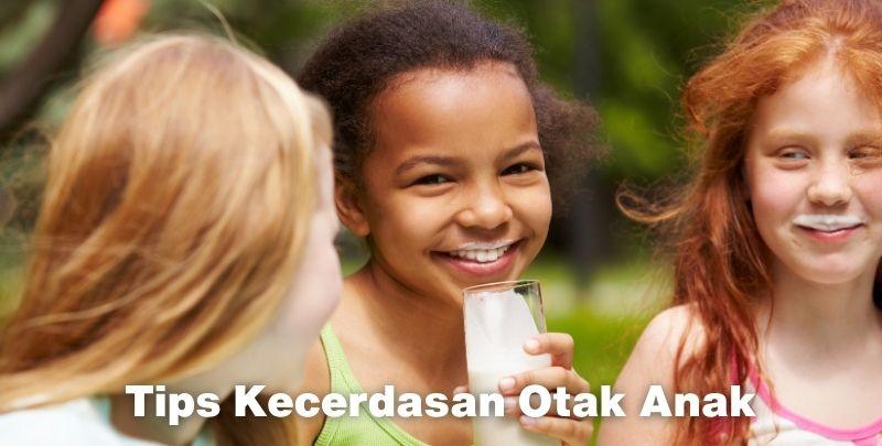 Tips Kecerdasan Otak Anak Agar Bisa Maksimal